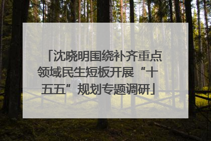 沈晓明围绕补齐重点领域民生短板开展“十五五”规划专题调研