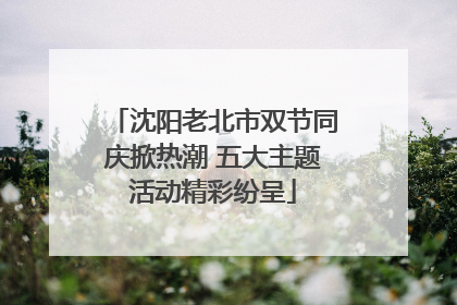 沈阳老北市双节同庆掀热潮 五大主题活动精彩纷呈