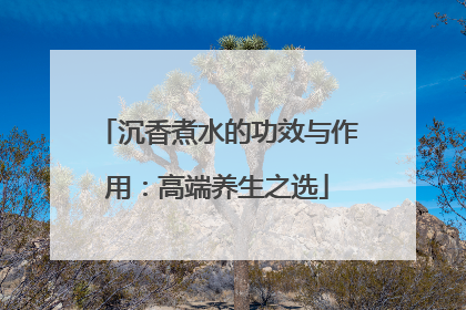 沉香煮水的功效与作用：高端养生之选