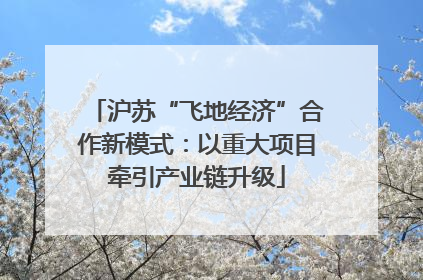 沪苏“飞地经济”合作新模式：以重大项目牵引产业链升级