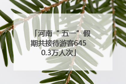 河南“ 五一”假期共接待游客6450.3万人次