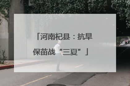 河南杞县：抗旱保苗战“三夏”