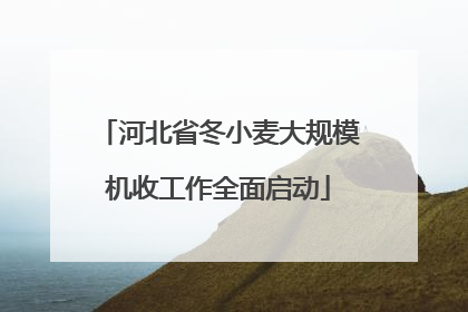 河北省冬小麦大规模机收工作全面启动