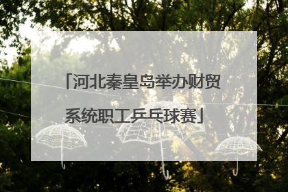 河北秦皇岛举办财贸系统职工乒乓球赛