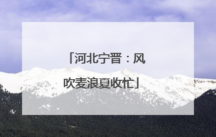 河北宁晋：风吹麦浪夏收忙