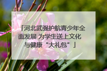 河北武强护航青少年全面发展 为学生送上文化与健康“大礼包”