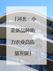 河北：小麦新品种助力农业高质量发展