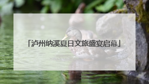 泸州纳溪夏日文旅盛宴启幕