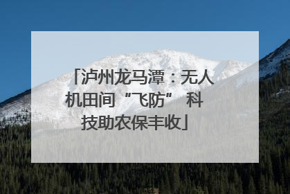 泸州龙马潭：无人机田间“飞防” 科技助农保丰收