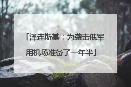 泽连斯基：为袭击俄军用机场准备了一年半