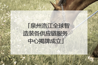 泉州洛江全球智造装备供应链服务中心揭牌成立