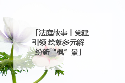 法庭故事丨党建引领 绘就多元解纷新“枫”景
