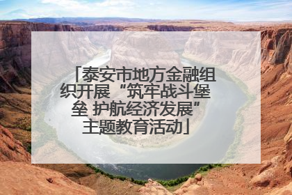 泰安市地方金融组织开展“筑牢战斗堡垒 护航经济发展”主题教育活动