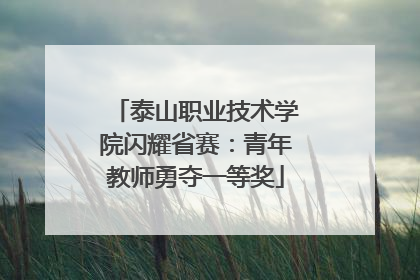 泰山职业技术学院闪耀省赛：青年教师勇夺一等奖