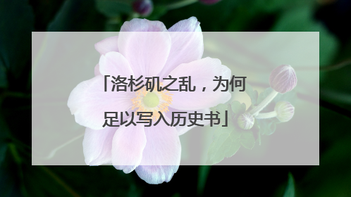 洛杉矶之乱，为何足以写入历史书