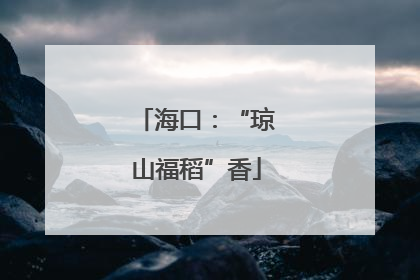 海口：“琼山福稻”香
