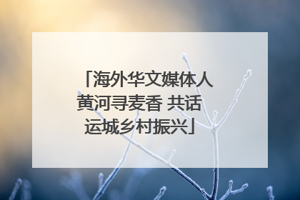 海外华文媒体人黄河寻麦香 共话运城乡村振兴