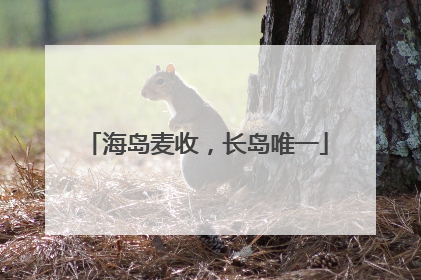 海岛麦收，长岛唯一