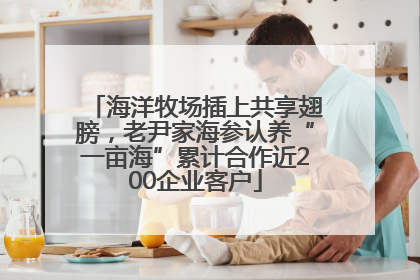 海洋牧场插上共享翅膀，老尹家海参认养“一亩海”累计合作近200企业客户