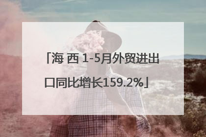 海 西 1-5月外贸进出口同比增长159.2%