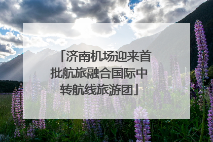 济南机场迎来首批航旅融合国际中转航线旅游团