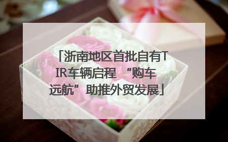 浙南地区首批自有TIR车辆启程 “购车远航”助推外贸发展