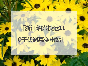 浙江绍兴投运110千伏谢慕变电站
