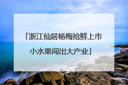 浙江仙居杨梅抢鲜上市 小水果闯出大产业