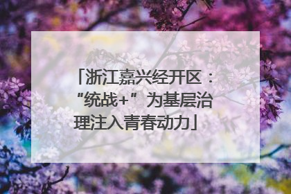 浙江嘉兴经开区：“统战+”为基层治理注入青春动力