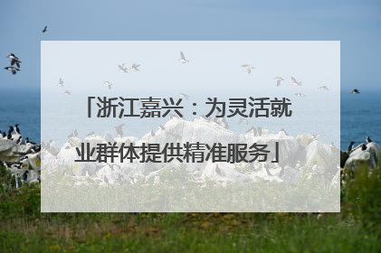浙江嘉兴：为灵活就业群体提供精准服务