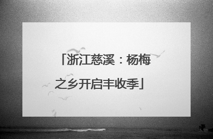 浙江慈溪：杨梅之乡开启丰收季