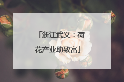 浙江武义：荷花产业助致富