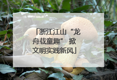 浙江江山“龙舟载童趣” 掀文明实践新风
