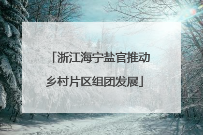 浙江海宁盐官推动乡村片区组团发展