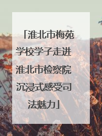 淮北市梅苑学校学子走进淮北市检察院沉浸式感受司法魅力
