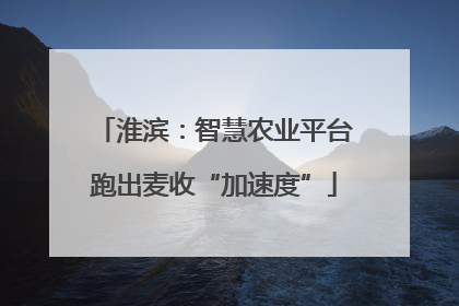淮滨：智慧农业平台跑出麦收“加速度”