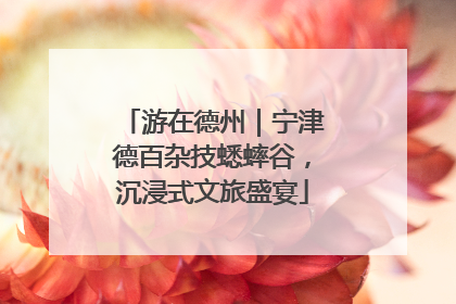 游在德州｜宁津德百杂技蟋蟀谷，沉浸式文旅盛宴