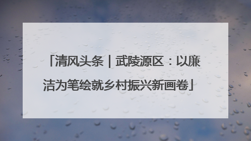 清风头条｜武陵源区：以廉洁为笔绘就乡村振兴新画卷