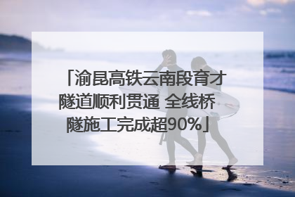 渝昆高铁云南段育才隧道顺利贯通 全线桥隧施工完成超90%