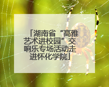 湖南省“高雅艺术进校园”交响乐专场活动走进怀化学院