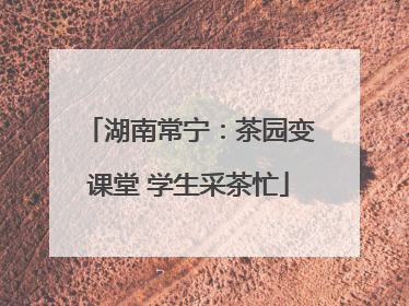 湖南常宁：茶园变课堂 学生采茶忙