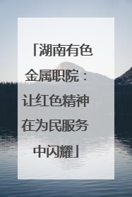 湖南有色金属职院：让红色精神在为民服务中闪耀