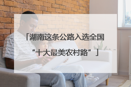 湖南这条公路入选全国“十大最美农村路”
