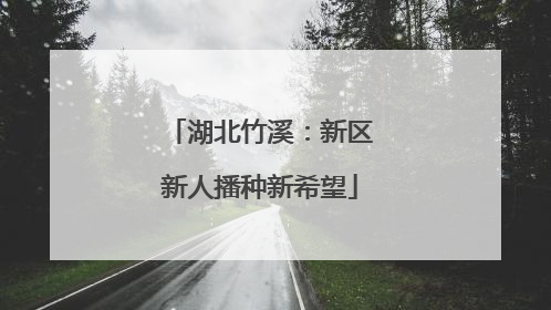 湖北竹溪：新区新人播种新希望