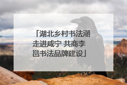 湖北乡村书法潮走进咸宁 共商李邕书法品牌建设