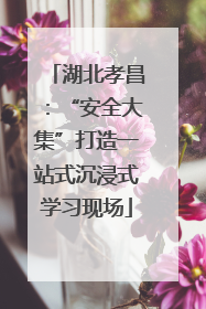 湖北孝昌：“安全大集”打造一站式沉浸式学习现场
