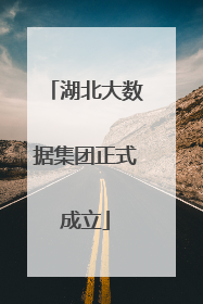 湖北大数据集团正式成立