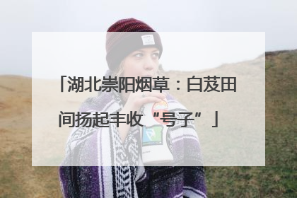 湖北崇阳烟草：白芨田间扬起丰收“号子”