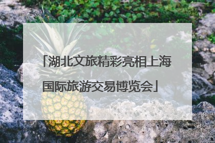 湖北文旅精彩亮相上海国际旅游交易博览会