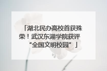 湖北民办高校首获殊荣！武汉东湖学院获评“全国文明校园”
